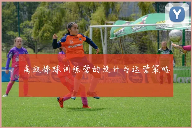 高效棒球训练营的设计与运营策略