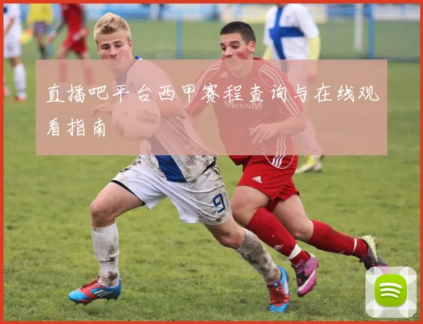 直播吧平台西甲赛程查询与在线观看指南