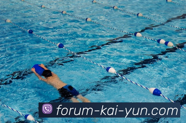 App Interface Preview